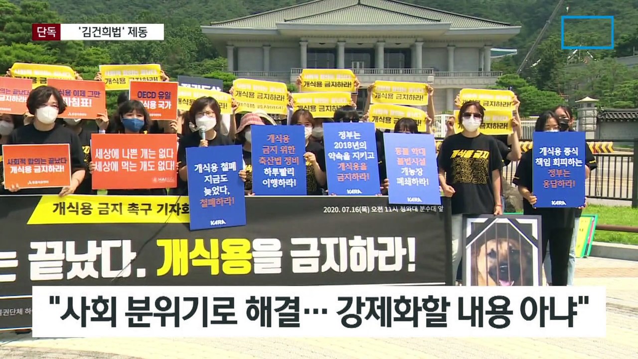 [단독]국민의힘, ‘개 식용금지’ 법제화 대신 캠페인으로 추진