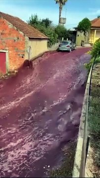 Un río de vino tinto inunda las calles de un pueblo portugués