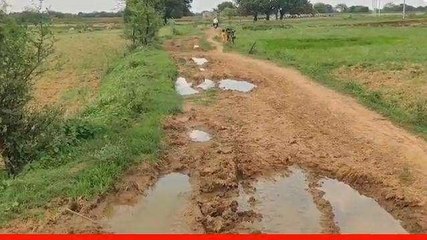 रीवा: ग्राम पंचायत कटकी की ग्रेवल रोड चढ़ी भ्रष्टाचार की भेंट, देखिए खबर