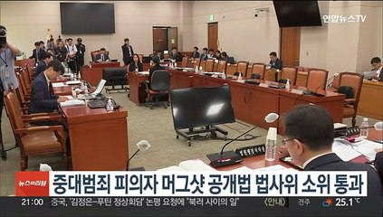 중대범죄 피의자 머그샷 공개법 법사위 소위 통과