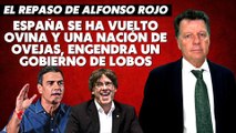 Alfonso Rojo: “España se ha vuelto ovina y una Nación de ovejas, engendra un Gobierno de lobos”