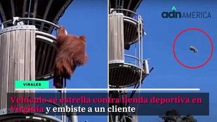 Las 5 noticias más leídas en ADN América hoy Septiembre 12