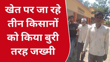 बिजनौर: गांव में पागल कुत्तों का आतंक, तीन किसानों को नोंचा