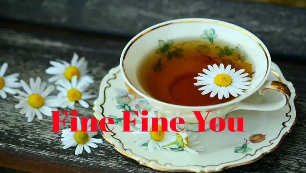 Fine Fine You video Dailymotion