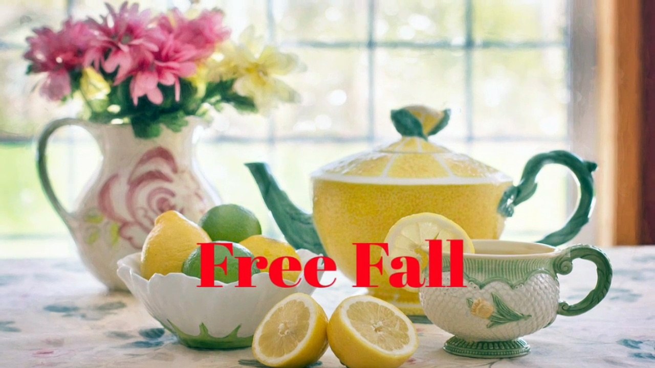 Free Fall