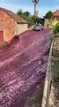 In Portogallo un fiume di vino invade le strade di São Lourenço