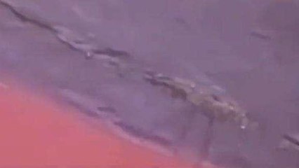 रतलाम: रेलवे कॉलोनी में मकानों की हालत खराब,छत्तों से टपक रहा पानी