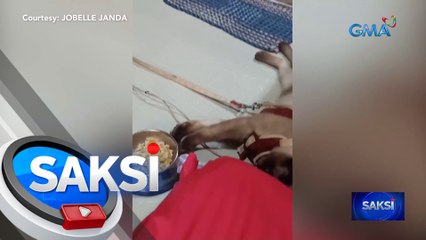 Pusang mapili sa pagkain, kinaaliwan online | Saksi