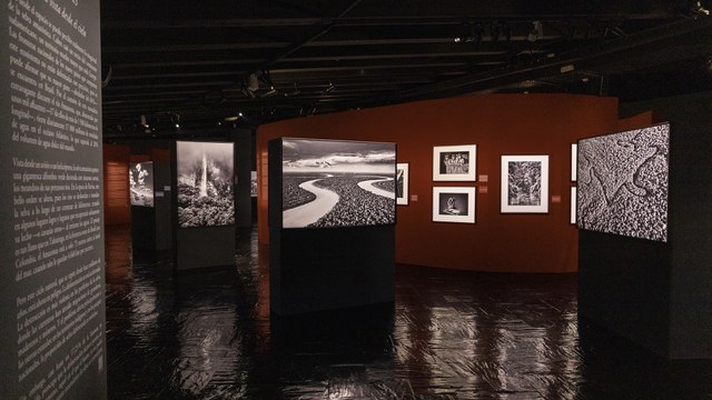 Amazônia de Sebastiâo Salgado llega a Madrid de la mano del Fernán Gómez