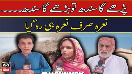 Parhay ga Sindh to barhay ga Sindh . .. . Naara sirf Naara hi reh gaya