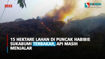 15 Hektare Lahan di Puncak Habibie Sukabumi Terbakar, Api Masih Menjalar