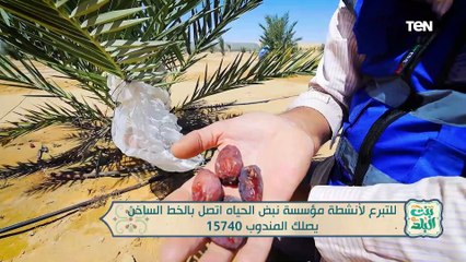 لقاء مع الدكتور مصطفى العكريشي للحديث عن أبرز جهود مؤسسة نبض الحياة | بنت البلد