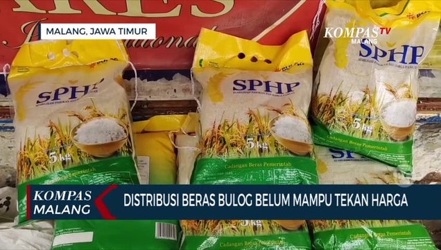 Distribusi Beras Bulog Belum Mampu Tekan Harga Beras di Pasaran