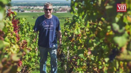 Côte de Nuits : Coup de cœur pour la Maison Marchand-Tawse