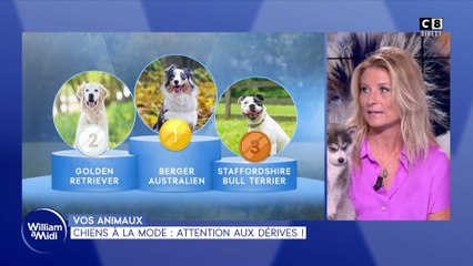 Vos animaux : Chiens à la mode, attention aux dérives !