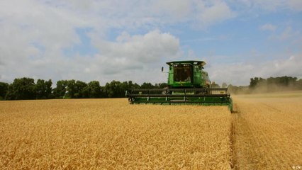 أوكرانيا تتحدى إغلاق موانئ البحر الأسود وتبحث عن طرق جديدة لتصدير القمح 🚜