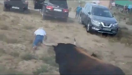 El Toro de la Vega se escapa y siembra el pánico en Tordesillas