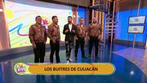 En Vivo - Los Buitres De Culiacán