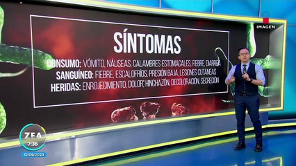Vibrio vulnificus, la bacteria carnívora en el Golfo de México