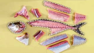 How a Japanese Chef Turns a Whole Fish Into 6 Dishes