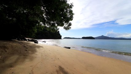 Free Nature Footage | No Edit, No Cut, No Loop, No Copyright Video| Background Video | Royalty Free Video | Follow To Get Updates Everyday {0007}