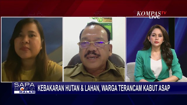 Apa Kata WALHI dan KLHK soal Ancaman Kabut Asap Kebakaran Hutan bagi Warga?