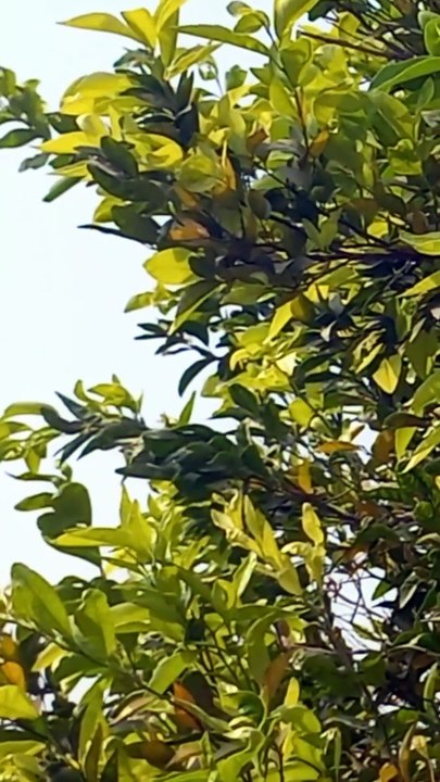 4k Natural View | Mind Blowing Nature | Peaceful View | Calm