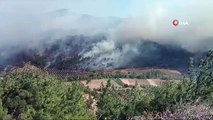 Soma'daki orman yangınını söndürme çalışmaları devam ediyor
