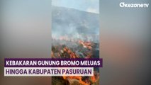 Kebakaran Gunung Bromo Meluas hingga Bukit Keciri di Pasuruan