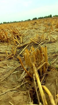 4K Nature Relax | Nature Video | Amazing Scenery | Peaceful View