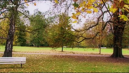 Rote Rosen Folge 955