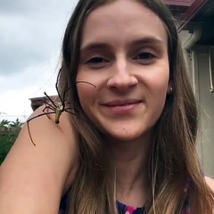 Une araignée énorme lui grimpe sur le visage