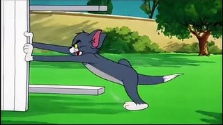 funny tom and jerry