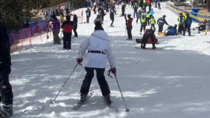 AWKWARD skiing blunder shows why it's important to have eyes in the back of the head
