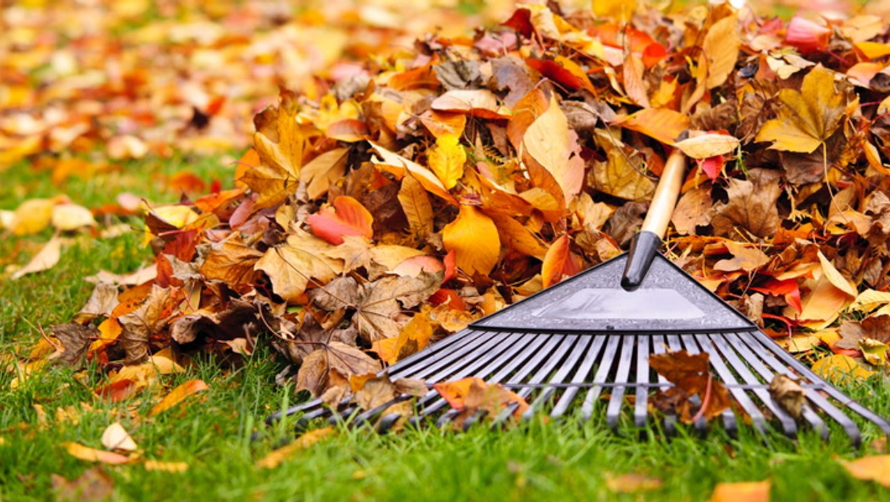 9 Fall Landscaping Ideas That Will Beautify Your Yard and Prepare It for Winter