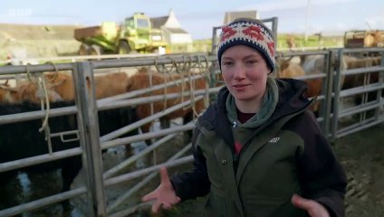 This Farming Life 2023 Episode 3: North Uist's MacDonald Family in Action 🚜