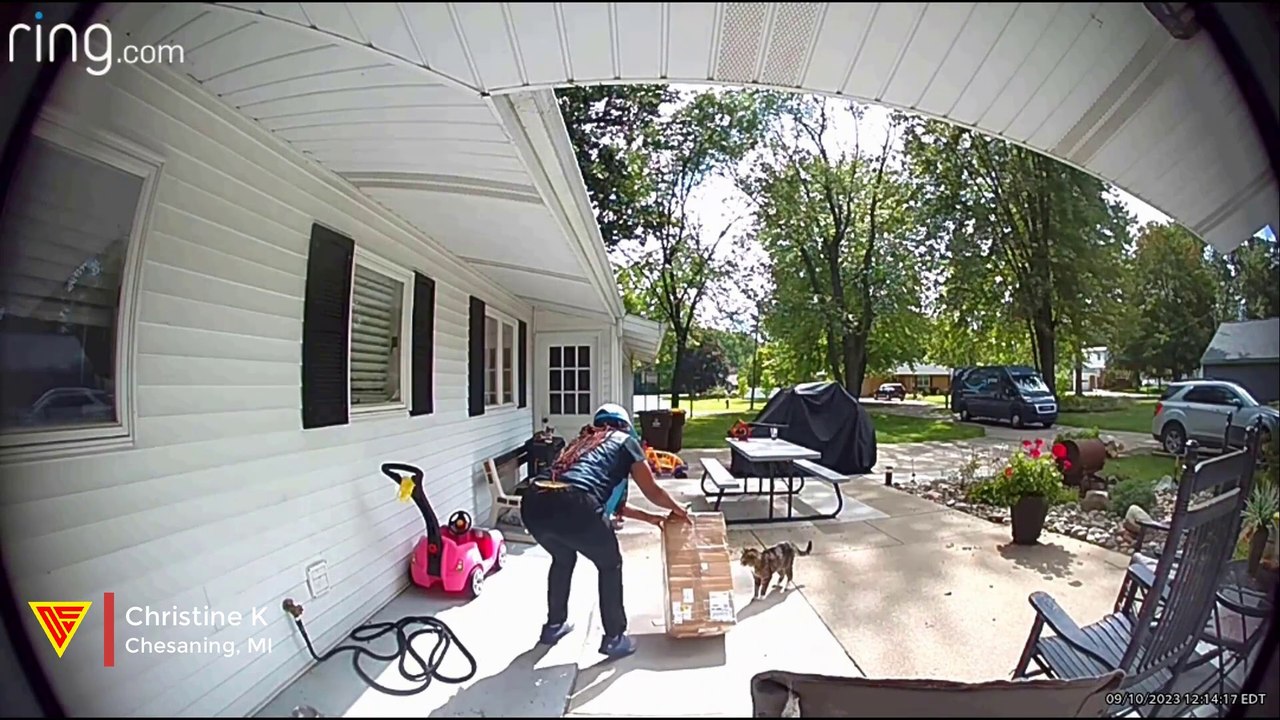 Amazon Delivery Driver Scared of My 20 Year Old Cat | Doorbell Camera Video