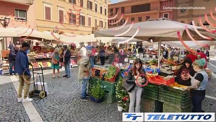 Video News - MARTEDI' ALLE 12 TEST IT-ALERT