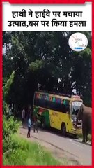 Elephant Attack Bus Video  हाथी ने हाईवे पर मचाया उत्पात,बस पर किया हमला #shrots #india  #wildlife