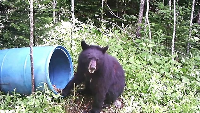 ED 12 sep TOPO chasse jeune