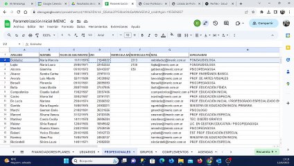 Explicacion Carga Profesionales IMENIC
