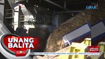 SRA: Posibleng epekto ng el niño sa produksiyon ng asukal sa bansa, pinaghahandaan | UB