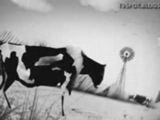 Gap: Sound of color Black & White - The Raveonettes