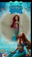 1989 Ariel And 2023 Ariel