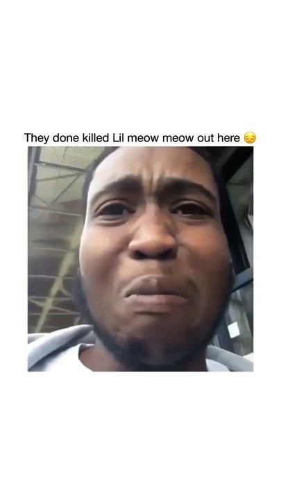 مواء مواء - meow meow