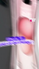 🔥 Vidéos Exclusives de l'iPhone 15 Avant la Lancement Secrète !