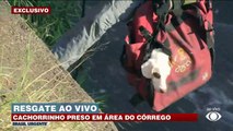 Cachorro é resgatado por bombeiros de córrego
