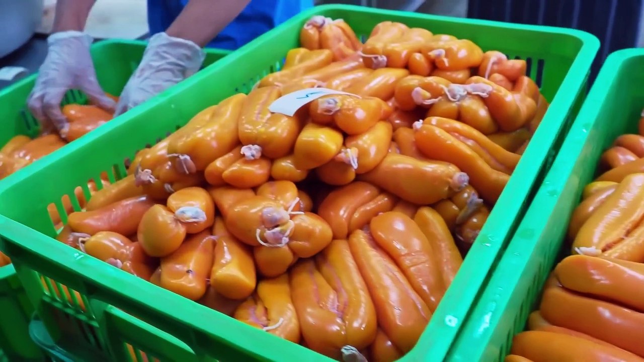Amazing Mullet Cutting Skills！Fish Roe Making, Grilled Mullet Roe