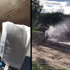 Original people on earth | P2