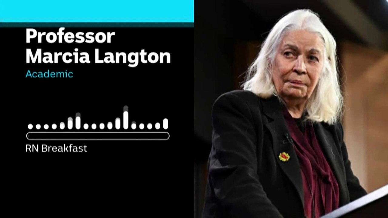 Marcia Langton says No campaign using ‘fear over fact’